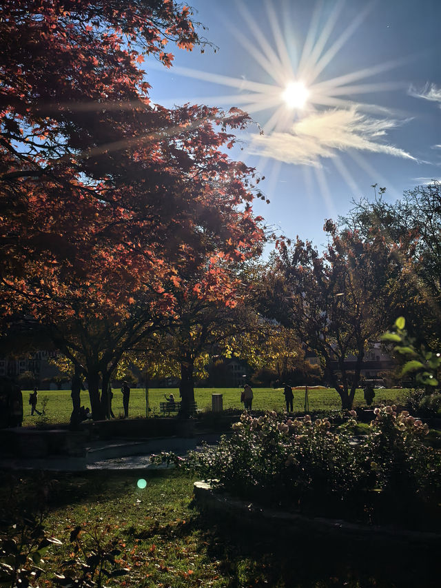 因特拉肯,愛在深秋 因特拉肯,愛在深秋