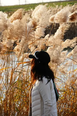 追光一次後再也去不了早起的活動了