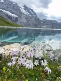 瑞士4天3晚攻略少女峰一日遊(下)