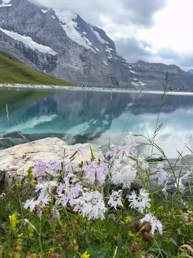 瑞士4天3晚攻略少女峰一日遊(下) 瑞士4天3晚攻略少女峰一日遊(下)