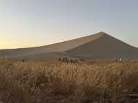 絲綢之路·河西走廊