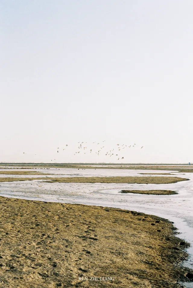 給北海流的候鳥拍組膠片|Portra400 給北海流的候鳥拍組膠片|Portra400