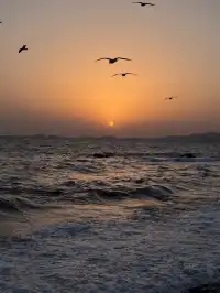 關於大連的初冬記憶