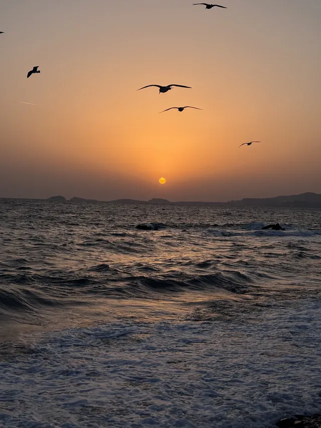 關於大連的初冬記憶 關於大連的初冬記憶