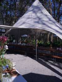 版納野奢酒店娜紮楊迪也愛住