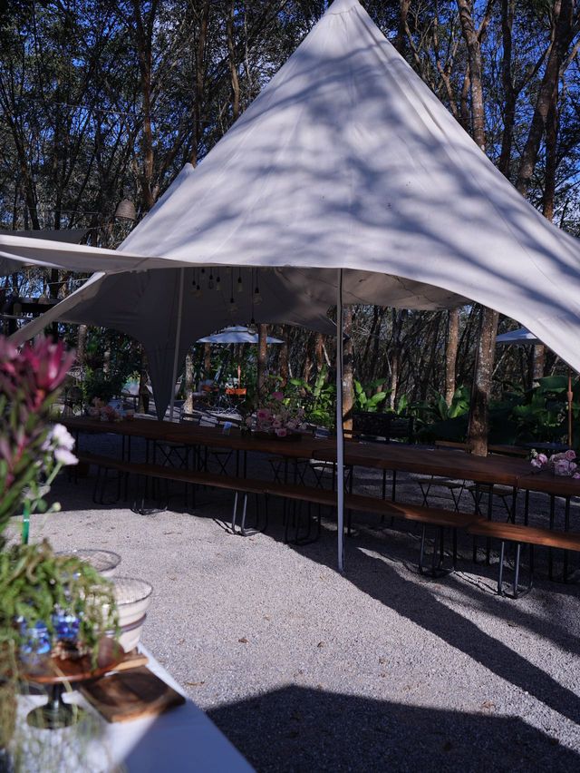 版納野奢酒店娜紮楊迪也愛住