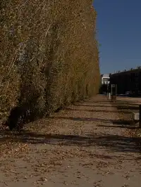 巴塞周邊小眾寶藏Lake of Banyoles