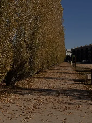Hidden Gem Lake of Banyoles Near Barcelona