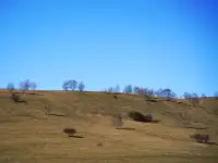 景點小評測——烏蘭布統