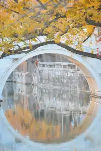 是何老師同款濮院！《嚮往》裡的秋日油畫江南！