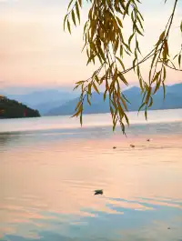 我在瀘沽湖收集了一整個日落劇場的浪漫