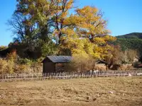 麗江|神女的眼淚-瀘沽湖