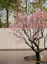 靜安雕塑公園必玩攻略治癒系路線