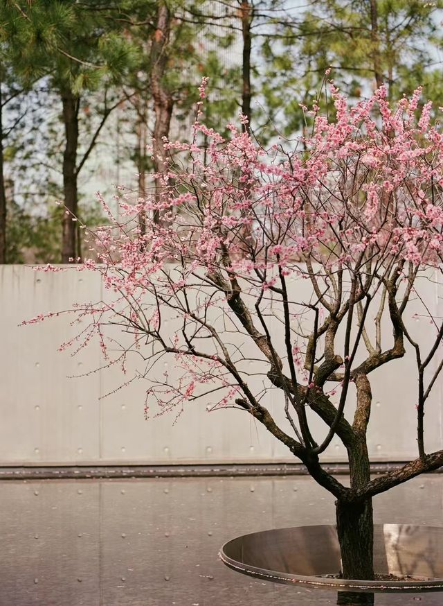 靜安雕塑公園必玩攻略治癒系路線 靜安雕塑公園必玩攻略治癒系路線