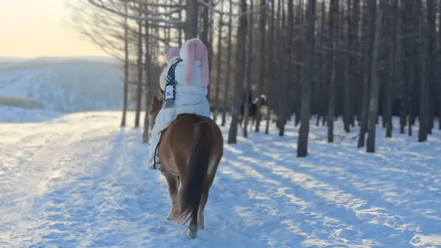 人生第一次在雪林裡騎馬,童話阿爾山 人生第一次在雪林裡騎馬,童話阿爾山