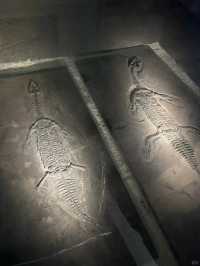 放棄大理了，冬天帶娃去21℃的彌勒過暖冬