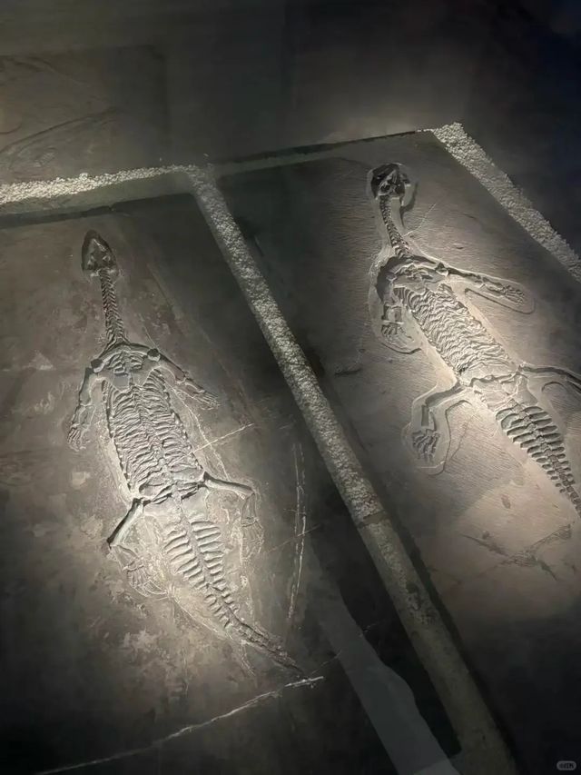 放棄大理了，冬天帶娃去21℃的彌勒過暖冬