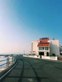 青島冬日兩日遊追海鷗逛老城超治癒