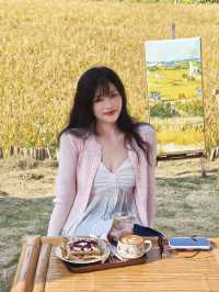 風吹麥浪 小紅書跟風最成功的一次好chill