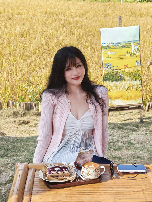 風吹麥浪 小紅書跟風最成功的一次好chill 風吹麥浪 小紅書跟風最成功的一次好chill