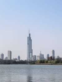 銀杏樹下邂逅金陵城