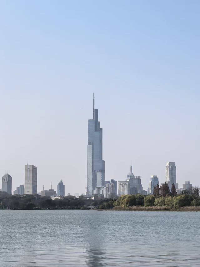 銀杏樹下邂逅金陵城 銀杏樹下邂逅金陵城