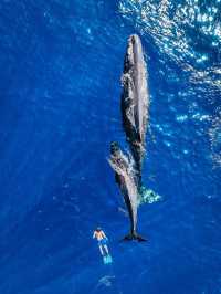 毛里裘斯9大必打卡點!來毛里裘斯必看~