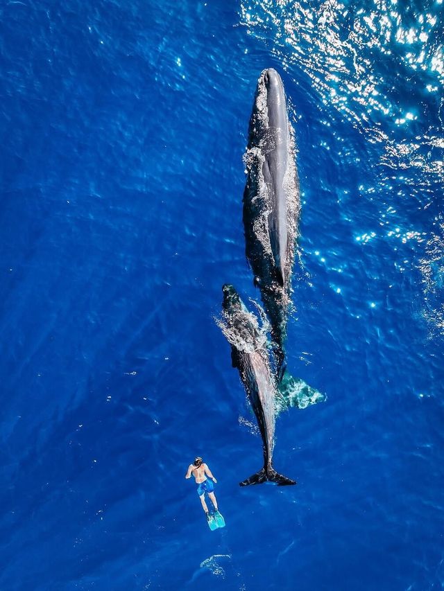 毛里裘斯9大必打卡點!來毛里裘斯必看~ 毛里裘斯9大必打卡點!來毛里裘斯必看~