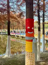 合肥毛衣樹遊園會紅衫林是大自然的調色盤