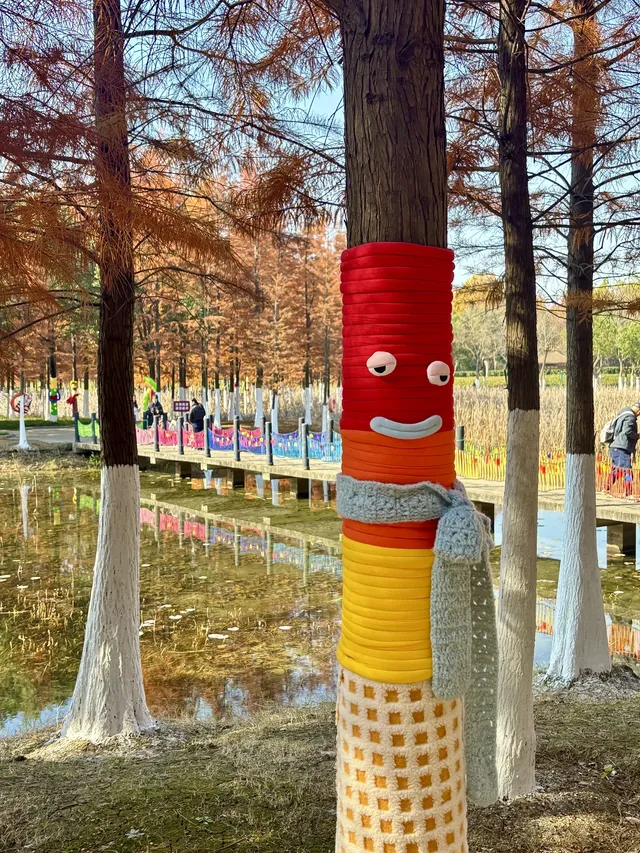 合肥毛衣樹遊園會紅衫林是大自然的調色盤 合肥毛衣樹遊園會紅衫林是大自然的調色盤