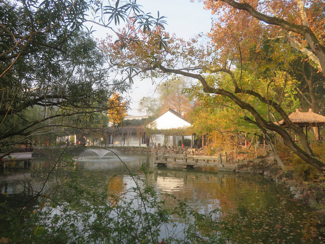 12.08醉白池限定楓葉盛景！12元拍爆江南秋韻