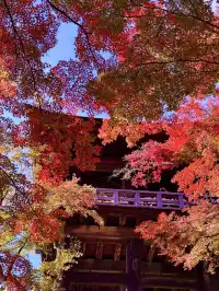 京都𝐊𝐲𝐨𝐭𝐨｜漫畫照進現實