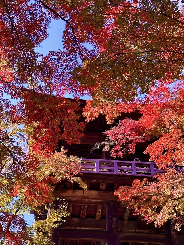 京都𝐊𝐲𝐨𝐭𝐨｜漫畫照進現實