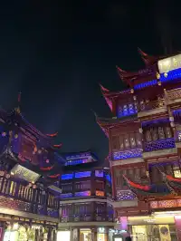 live直出豫園冬日泛光秀中式光影美到窒息