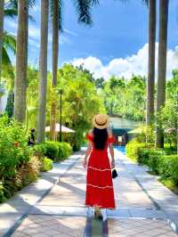 睡進深圳華僑城洲際大酒店西班牙風情,2026 讓狂歡不留遺憾