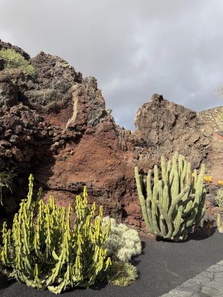 ความมหัศจรรย์ทางภูเขาไฟของลันซาโรเตเปรียบเสมือนการผจญภัยสู่โลกอีกใบหนึ่ง