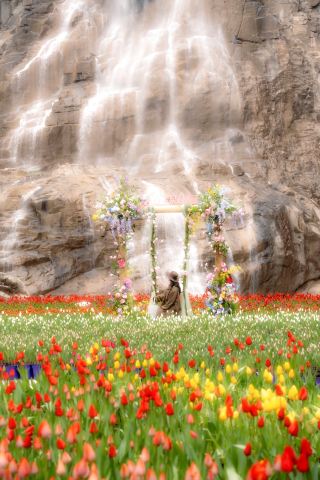 ฉันถ่ายรูปเป่าฉวนมาเมื่อสุดสัปดาห์ที่ผ่านมา ดอกทิวลิปที่บานสะพรั่งเต็มภูเขานั้นงดงามมาก!