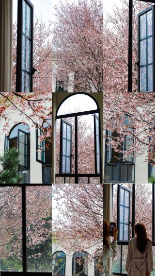 Open the window and spring is right there! The pink window view of this park in Changsha is just too romantic!