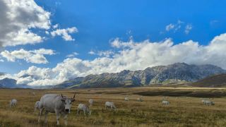 Gran Sasso Mountain Summer Retreat, Cool and Free Wilderness Walks