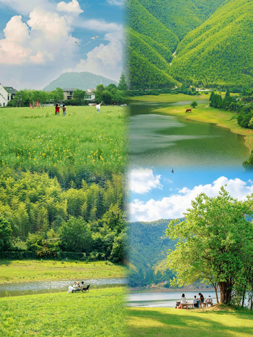 小杭坑(高山草甸营地) 参考图 3