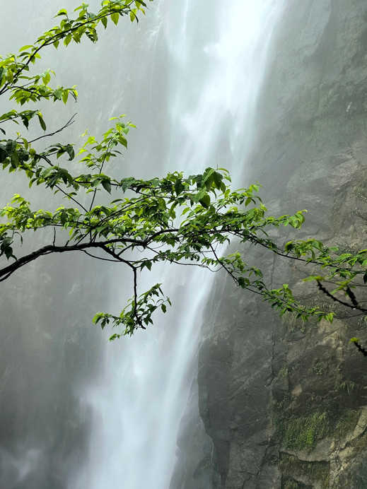 大自然の神業を感じて 宜春のこれらの山水の秘境は本当にすごい