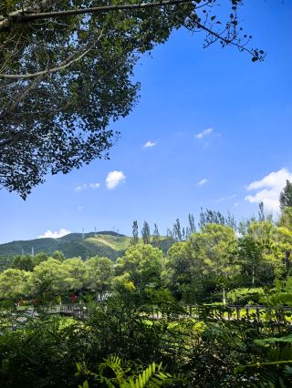 Chongli’s ultimate summer escape | Heishan Bay, hiking and camping with the river breeze