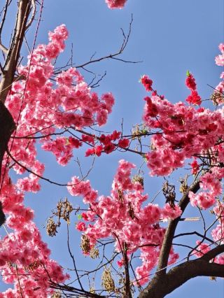 6日間の晋城などの夏の避暑完全攻略が登場