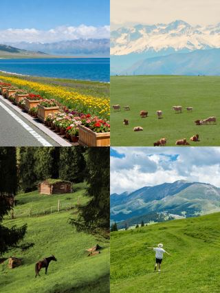 Sayram Lake is stunning! Blue lake, snowy mountains, wildflowers, and swans are all here!