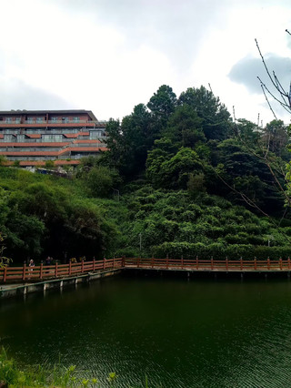 Panduan Liburan Musim Panas ke Kebun Teh Xiangwo Shan Yunfu.