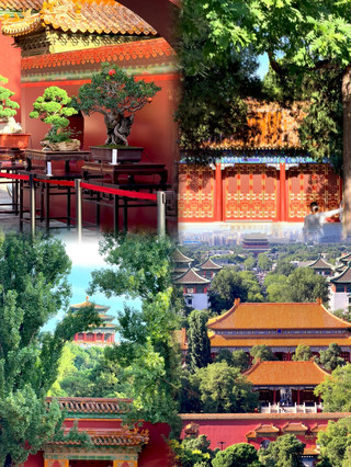 Beijing Jingshan Park family guide | CNY 2 admission to reach the top of the Central Axis and enjoy a light educational experience with panoramic views of the Forbidden City