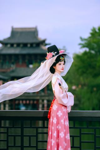 Blush-pink robes rest in the evening breeze | a straw hat and gauze, an intoxicating dream of Wuzhou.