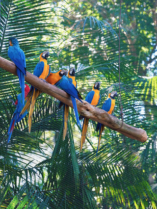 A short vacation to South America is absolutely amazing!