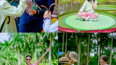 シーサンパンナ・タイ族自治州での親子向け学習旅行｜5日間4泊、ゆったりとした最高の旅 — traveler post in 勐臘