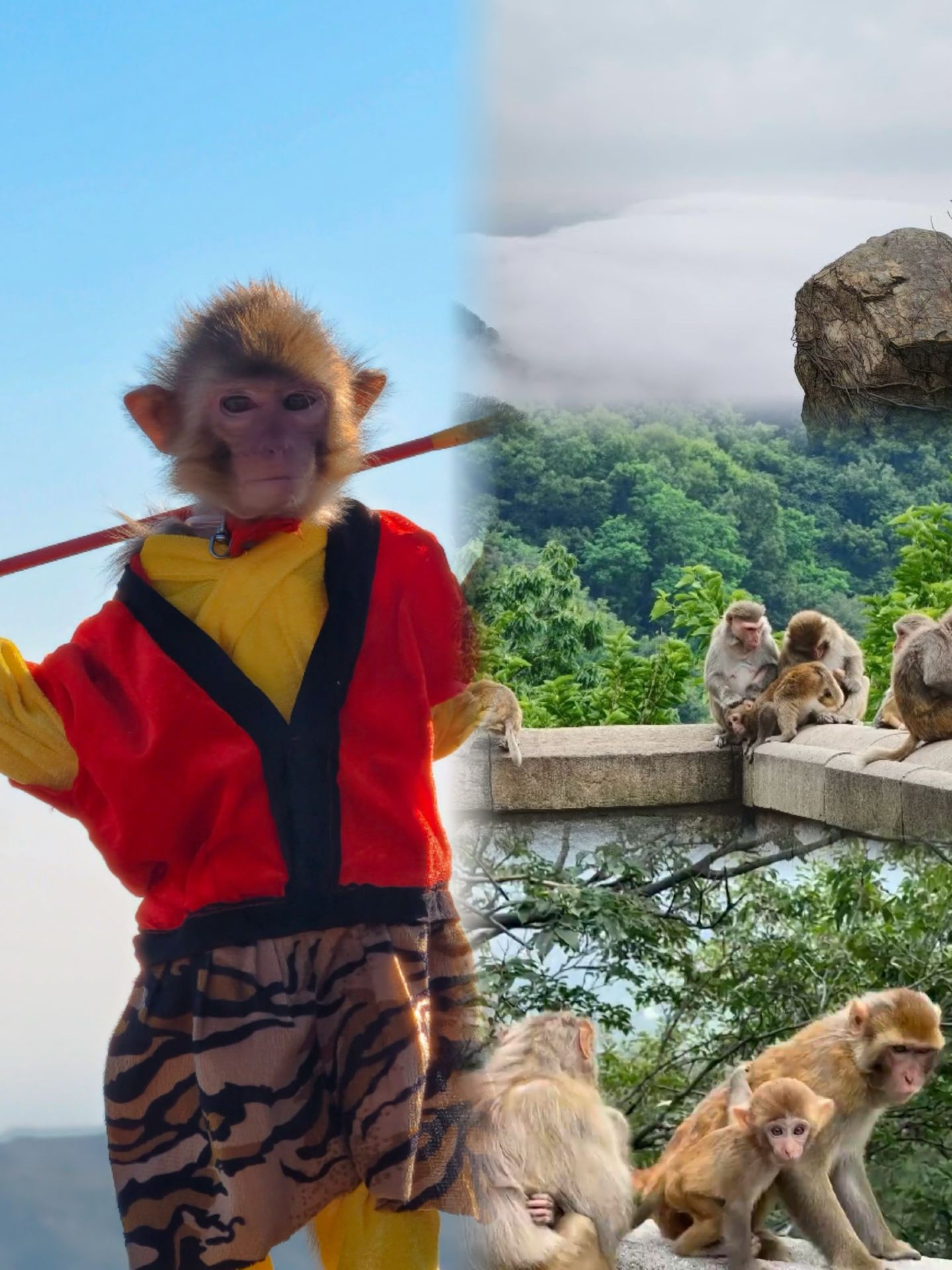 Lianyungang | Explore mountains and sea in 2 days: Huaguoshan cloud sea, Liandao beachcombing, check them all off in one trip